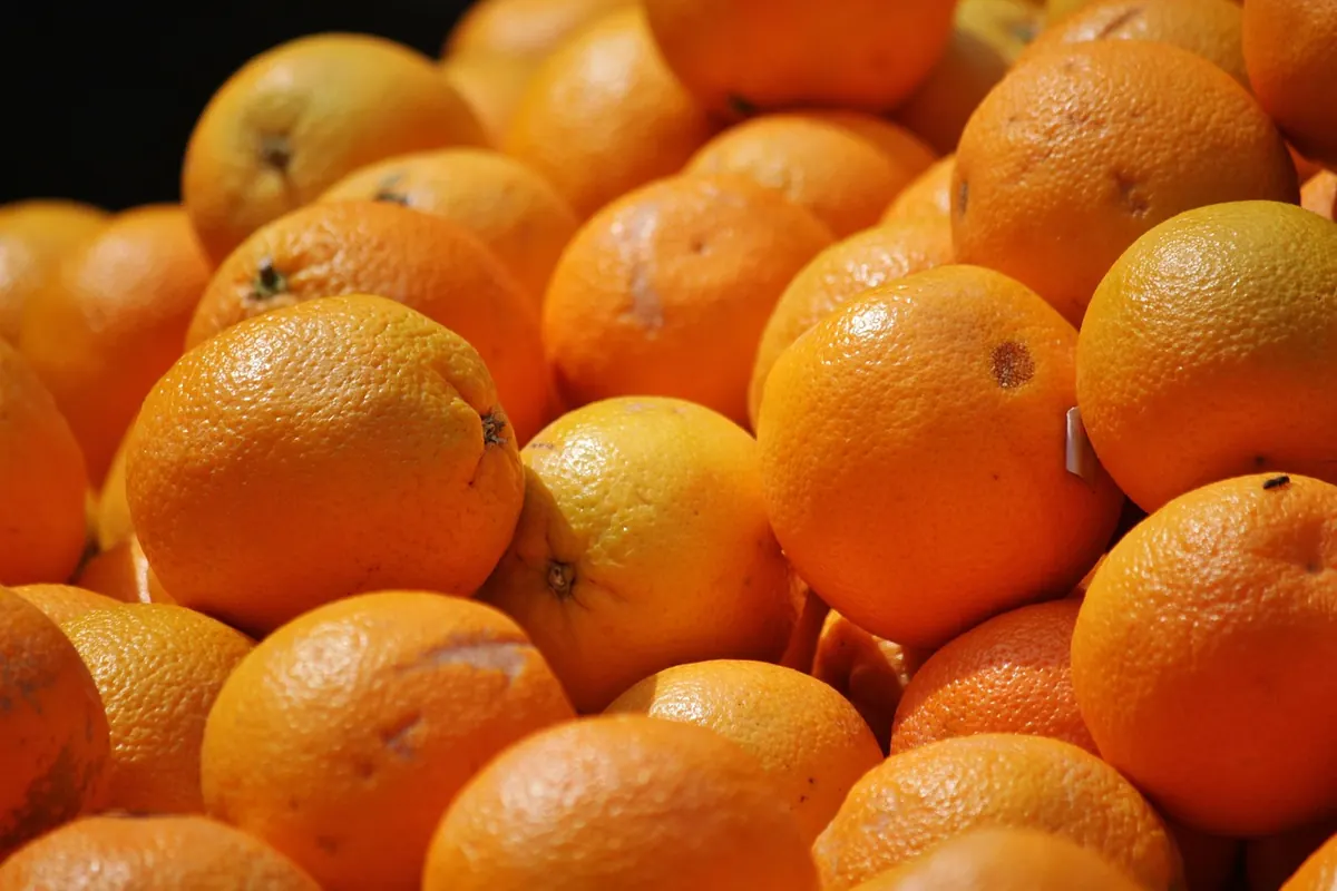 Seasonal Marmalade Calendar: What Citrus to Preserve Month by Month